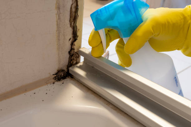 Best Residential Mold Removal  in Burns, TN