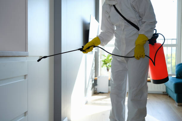Best Professional Mold Removal  in Burns, TN