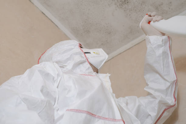 Best Toxic Mold Removal  in Burns, TN